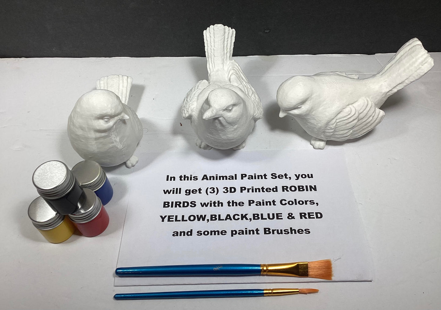 Paint your own Robin Birds