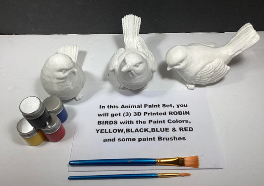 Paint your own Robin Birds